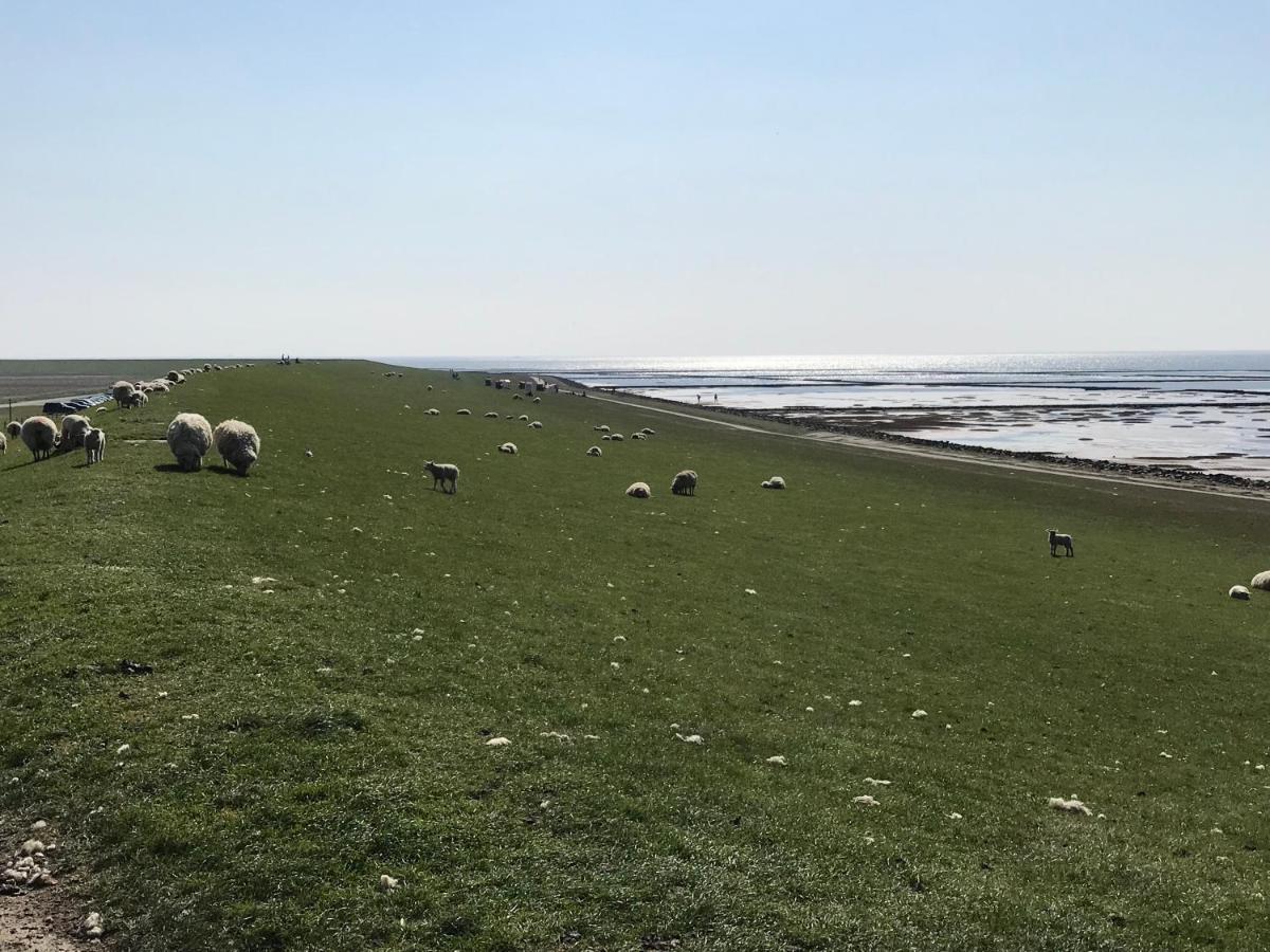 Ferienwohnung Fuer Grosse Familien Im Haus Akunak Büsum Extérieur photo